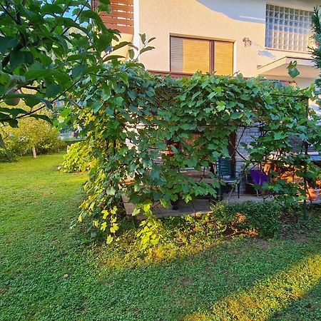 Apartment Ajdna Zirovnica Exterior foto